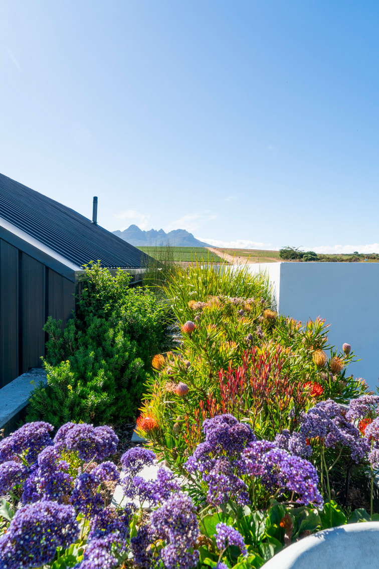 Eerstebosch Family Farm Stellenbosch Gallery 1