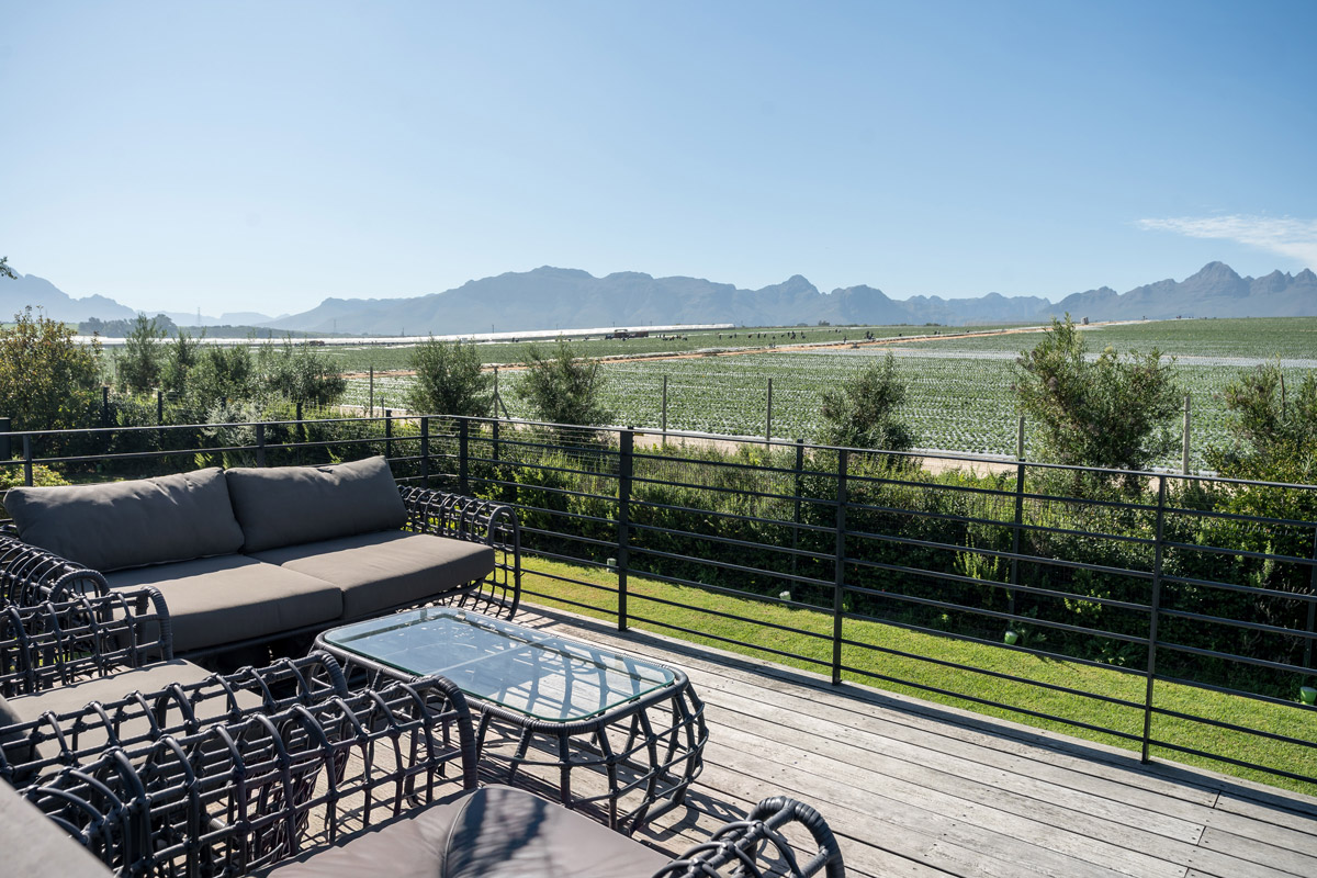 Eerstebosch Farm Stellenbosch 3